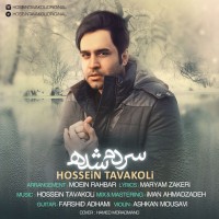 Hossein Tavakoli - Sardam Shodeh