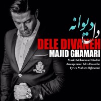 Majid Ghamari - Dele Divaneh