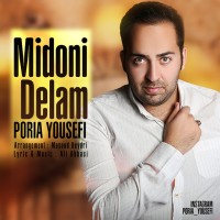 Pouria Yousefi - Midooni Delam