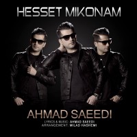 Ahmad Saeedi - Hesset Mikonam