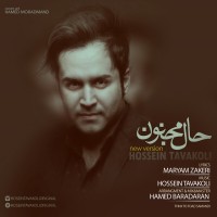 Hossein Tavakoli - Hale Majnoon ( New Version )