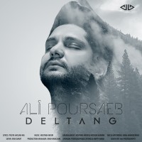 Ali Poursaeb - Deltang