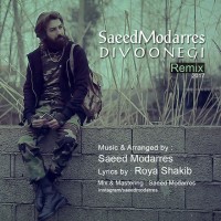 Saeed Modarres - Divoonegi ( Remix )