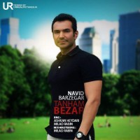 Navid Barzegar - Tanham Bezar