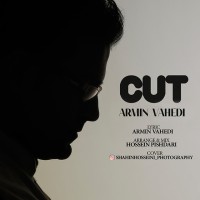 Armin Vahedi - Cut