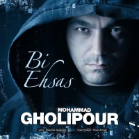 Mohammad Gholipour - Bi Ehsas