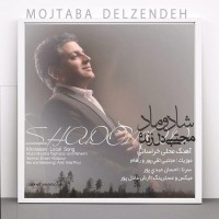 Mojtaba Delzendeh - Shadoomad