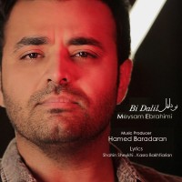 Meysam Ebrahimi - Bi Dalil