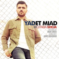 Mojtaba Shoja - Yadet Miad