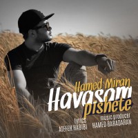 Hamed Miran - Havasam Pishete