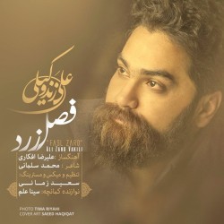 Ali Zand Vakili - Fasle Zard