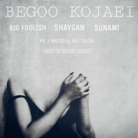 Shaygan Ft Bigfoolish & Sunami - Begoo Kojaei