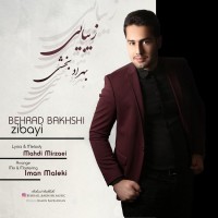 Behrad Bakhshi - Zibaei