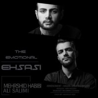 Mehrshid Habibi & Ali Salimi - Ehsasi