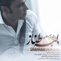 Shahram Shokoohi - Delbare Tanaz