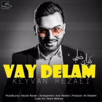 Keyvan Rezaei - Vay Delam