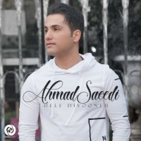 Ahmad Saeedi - Dele Divooneh
