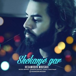 Hesamodin Mousavi - Shekanje Gar