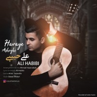 Ali Habibi - Havaye Asheghi