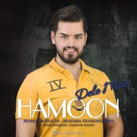 Hamoon - Dele Man