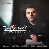 Meysam Ebrahimi - Zood Gozasht