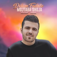 Mojtaba Shoja - Delam Fadate