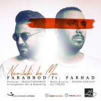 Farahbod Ft Farhad - Nemitabi Be Man