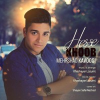 Mehrshad Kavoosi - Hesse Khoob