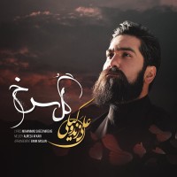 Ali Zand Vakili - Gole Sorkh