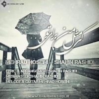 Shahin Rashidi Ft Mehrad Hosseini - Ki Mesle Man Baraye To
