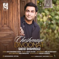 Saeid Shahrouz - Cheshmaye Divoonat
