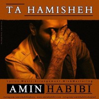 Amin Habibi - Ta Hamisheh