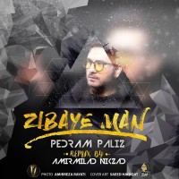 Pedram Paliz - Zibaye Man ( Amirmilad Nikzad Remix )