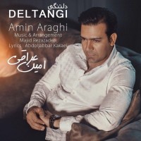 Amin Araghi - Deltangi