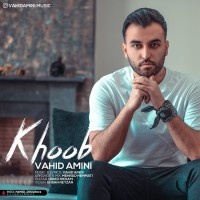 Vahid Amini - Khoob