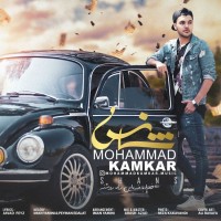 Mohammad Kamkar - Shans