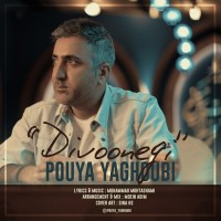 Pouya Yaghoubi - Divoonegi