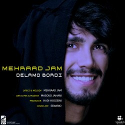 Mehraad Jam - Delamo Bordi