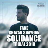 Shayan Shaygan - Fake ( Soli Dance Remix )