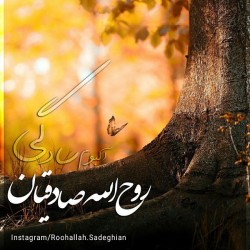 Roohollah Sadeghian - Sadegi