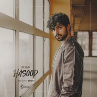 Shervin Hajipour - Hasood