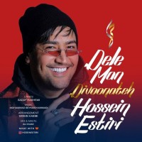 Hossein Estiri - Dele Man Divoonateh