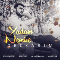 Delkarim - Yadam Nemire