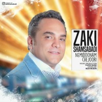 Zaki Shams Abadi - Nemidoonam Chejoori