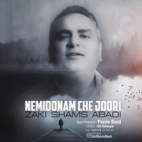 Zaki Shams Abadi - Nemidoonam Che Joori
