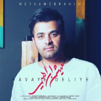 Meysam Ebrahimi - Havaye Deliye