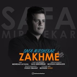 Safa Mirshekar - Zakhme