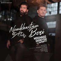 Mohammad Ghoreyshi & Mehdi Rezaei - Nemikhastam Beri