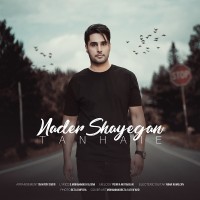 Nader Shayegan - Tanhaei