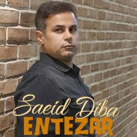 Saeid Diba - Entezar